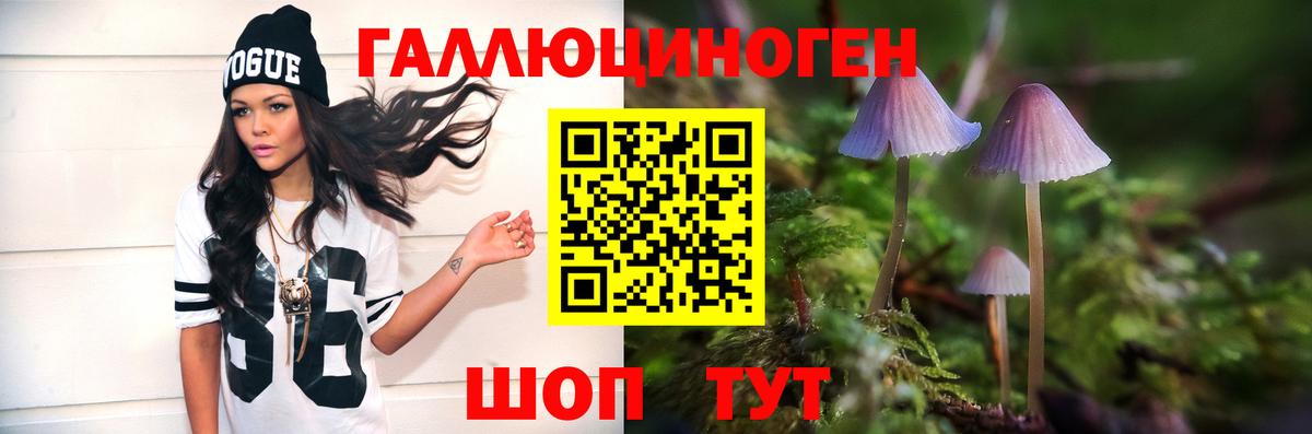 Галлюциногенные грибы MAGIC MUSHROOMS  Вход с VPN  Асино  Псилоцибиновые грибы MAGIC MUSHROOMS 
